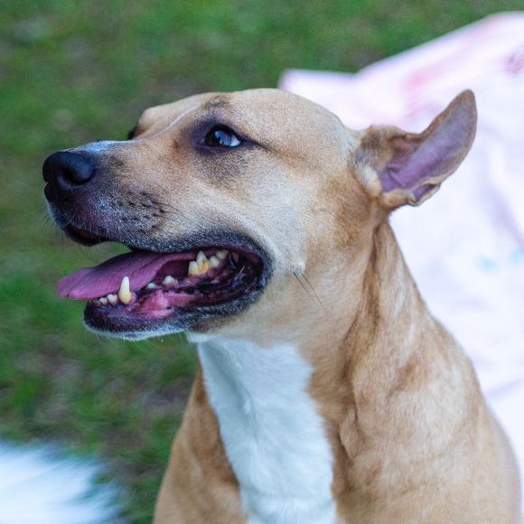 Meet your Posher, Myrna - Picture 2 of 8